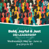 https://rise.prsa.org/images/Events/Workshops/DEI-CP_reg200.png