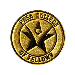 College of Fellows Pin